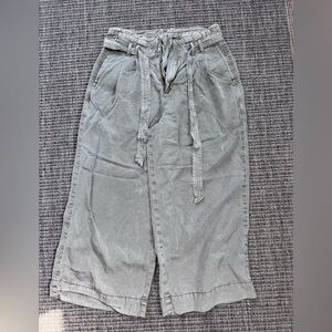 American Eagle Outfitters Wide Leg Short Pants